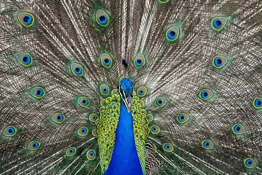 Productora videos y fotografías guatemala vdofilms video productora audiovisual en Guatemala fotografía y video aéreo terrestre